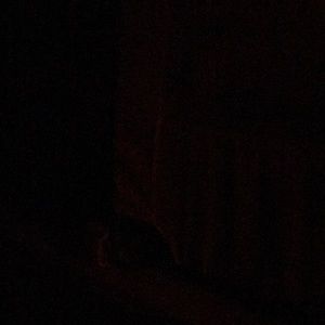 Meet your Posher, Natasha